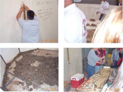 Snake Processing